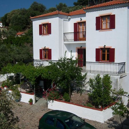 Anessis Cosmos Aparthotel Άναξος Εξωτερικό φωτογραφία