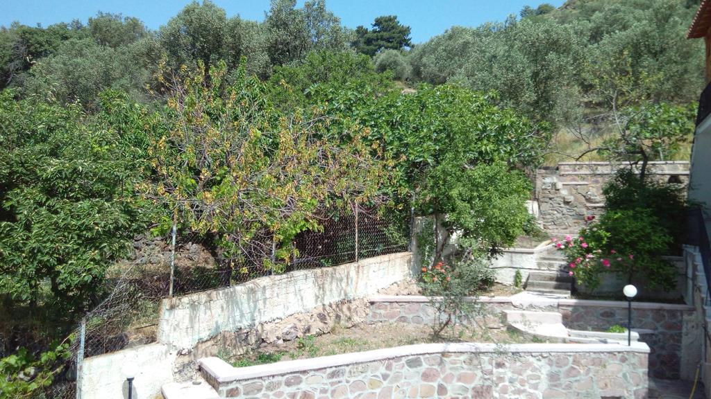 Anessis Cosmos Aparthotel Άναξος Εξωτερικό φωτογραφία