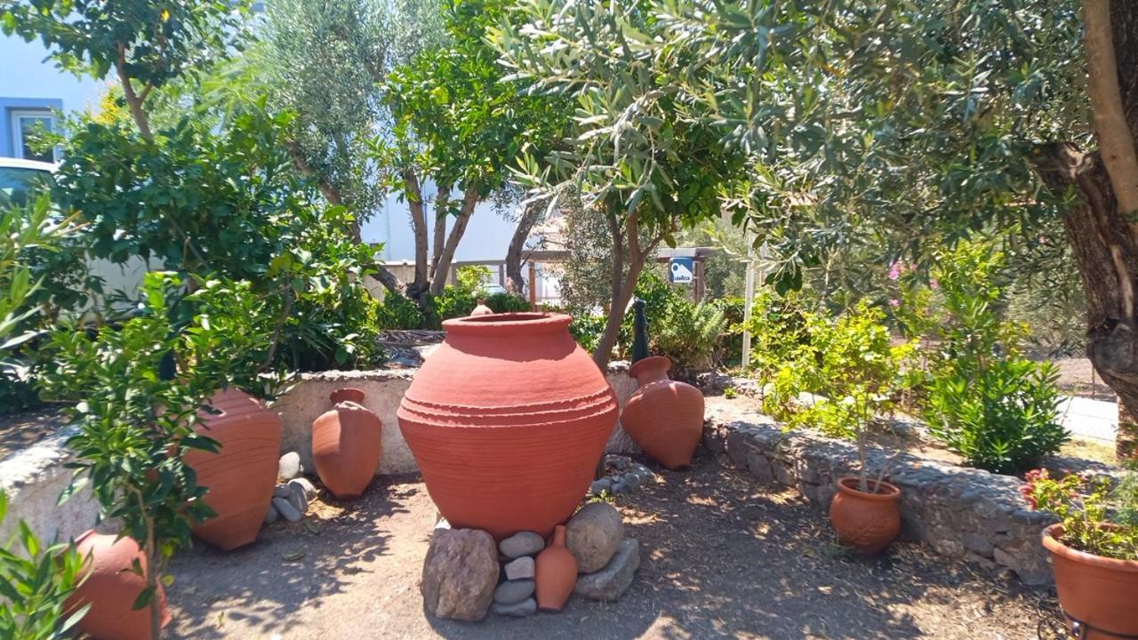 Anessis Cosmos Aparthotel Άναξος Εξωτερικό φωτογραφία